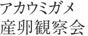 アカウミガメ産卵観察会