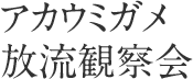 アカウミガメ放流観察会