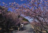 浜松市　牧野　…
