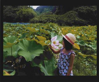 藤枝市　杉本　昌弘